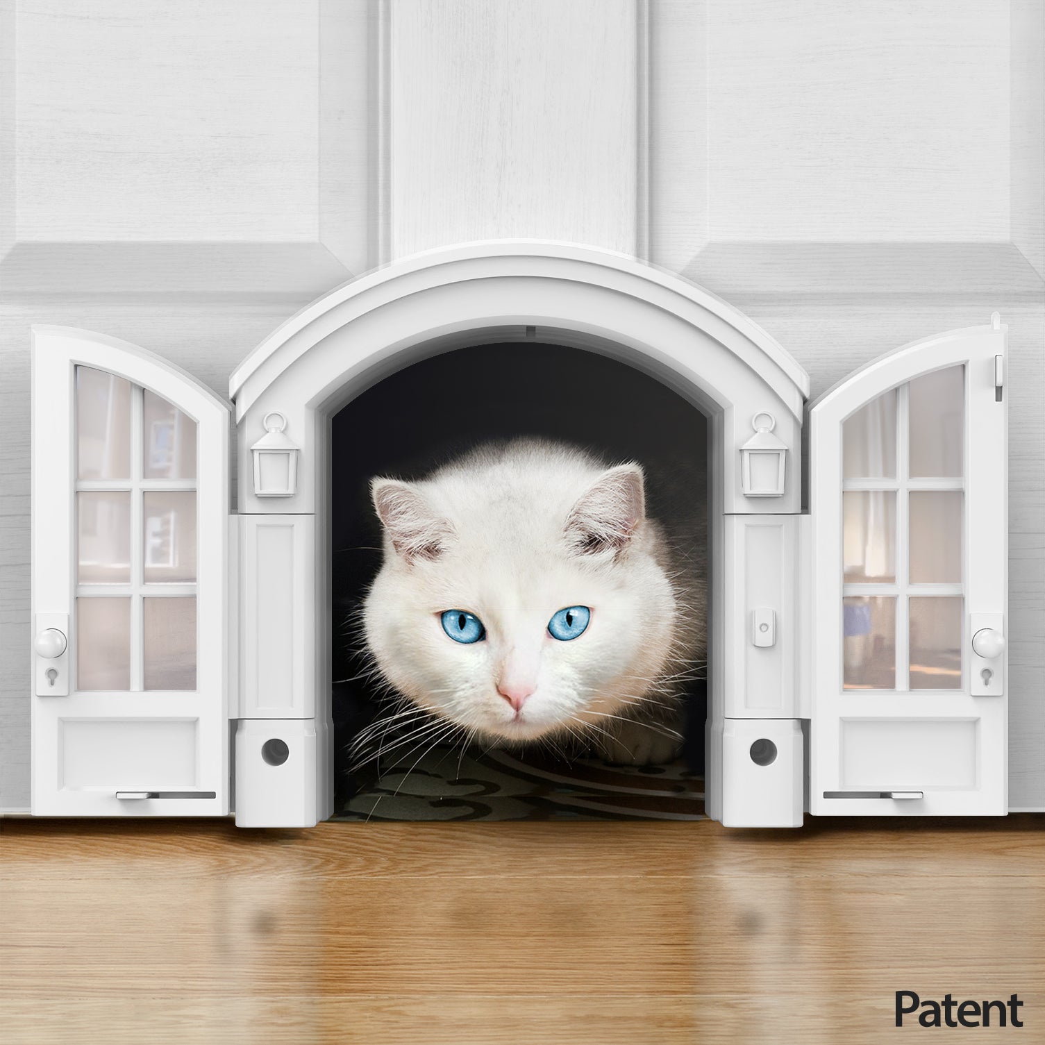 The Purrfect Portal