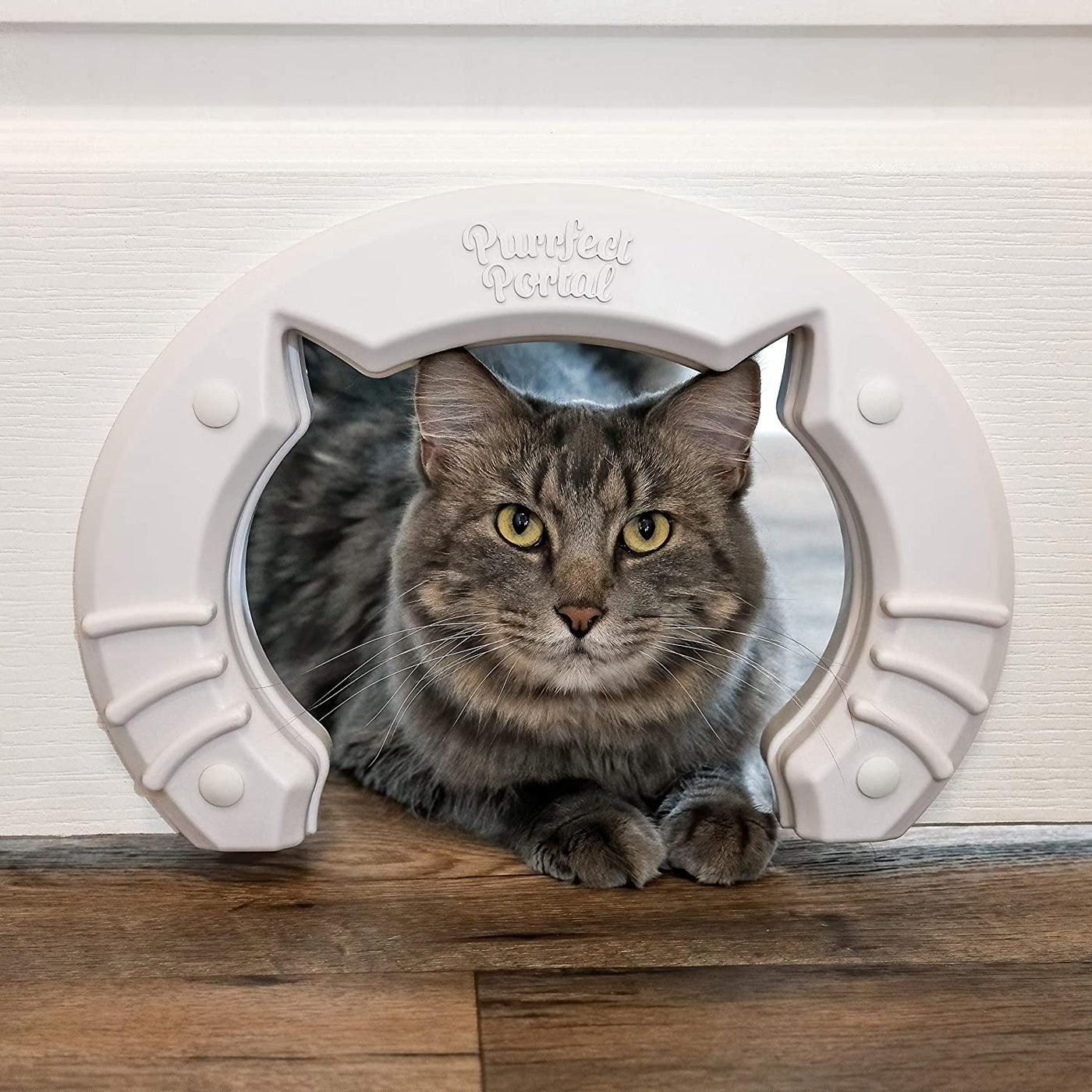  Purrfect Portal Puerta para gatos francesa: elegante