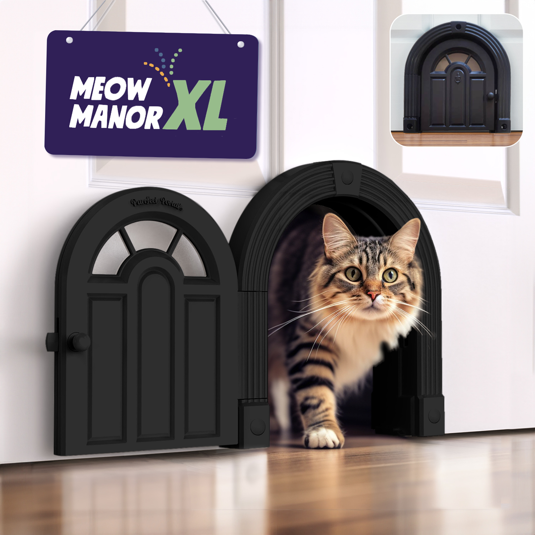 Meow Manor Purrfect Portal