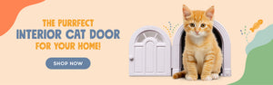 The Purrfect interior cat door for your home. Shop now!