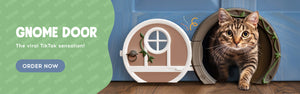 Gnome Door. The viral TikTok sensation. Order Now!