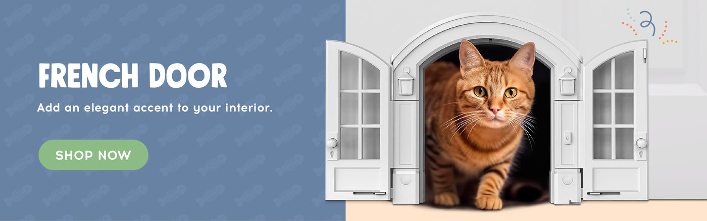French door. Add an elegant accent to your interior. Shop Now!