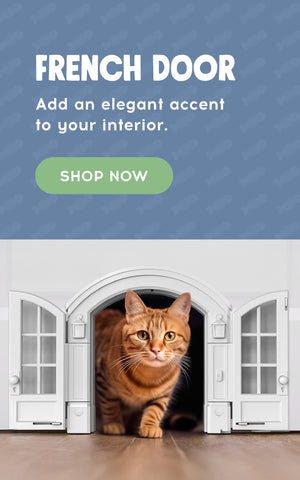 French door. Add an elegant accent to your interior. Shop Now!