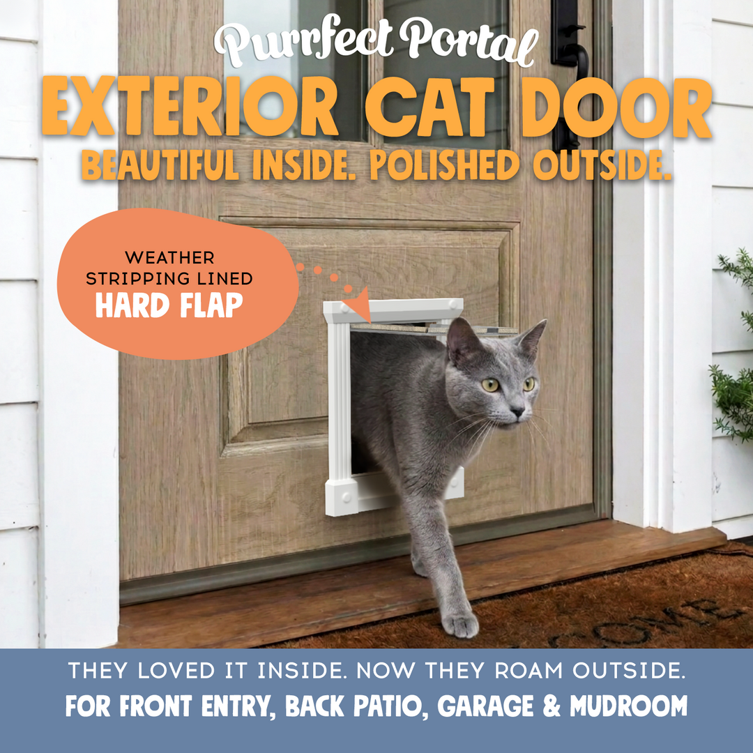 Exterior Cat Door – Purrfect Portal